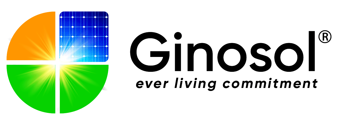 Ginosol - Home Ginosol - Home