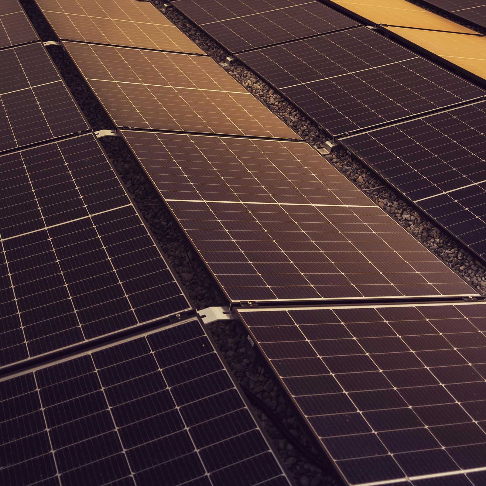 Gino Solar